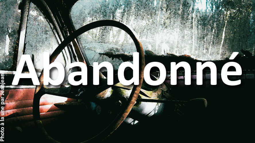 Decouvrez-les-gagnants-du-defi-photo-Abandonne