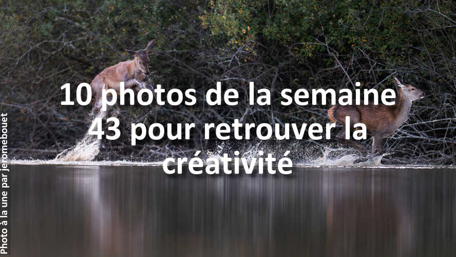 Les-10-photos-de-la-semaine-43-qui-vont-vous-faire-retrouver-linspiration