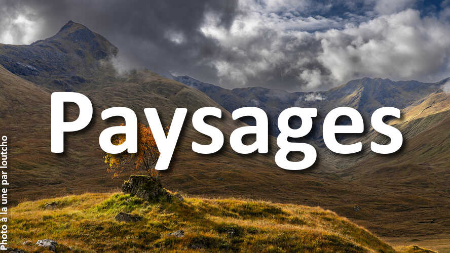 Medaille-dor-pour-loutcho-au-defi-photo-Paysages