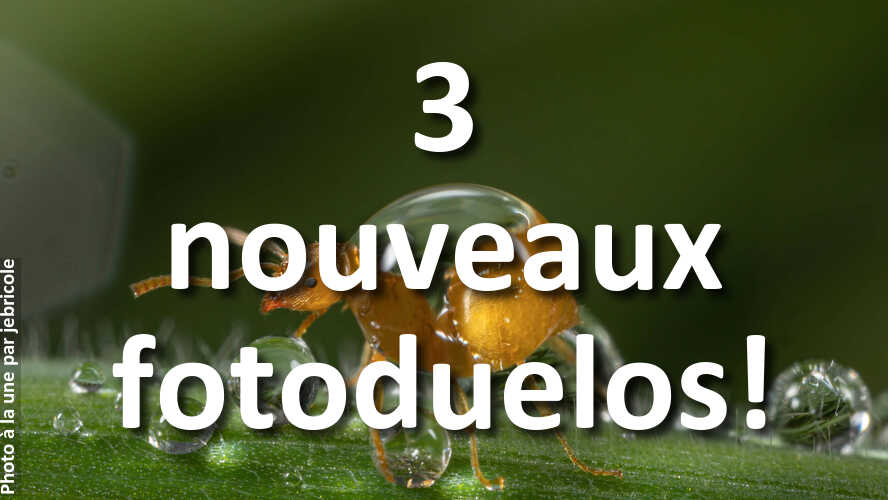 Laquelle-est-la-plus-belle-celle-de-droite-ou-de-gauche