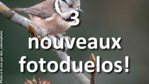3-nouveaux-fotoduelos-ont-besoin-de-votre-avis