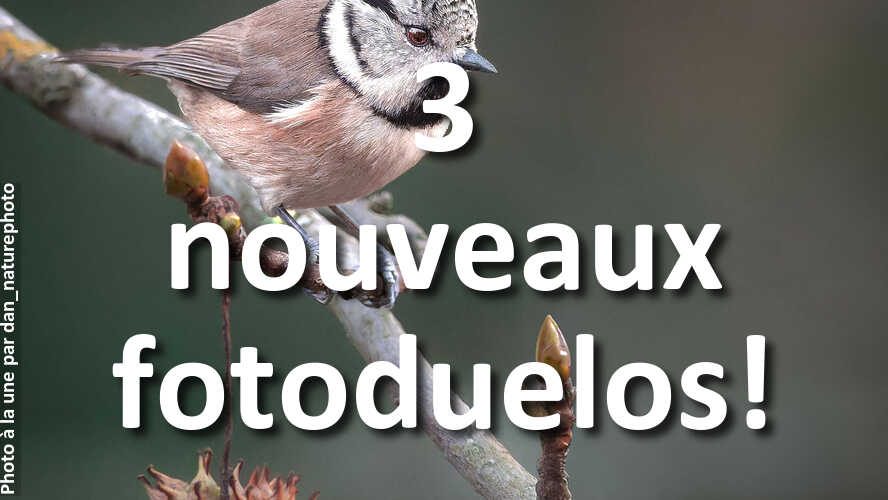 3-nouveaux-fotoduelos-ont-besoin-de-votre-avis