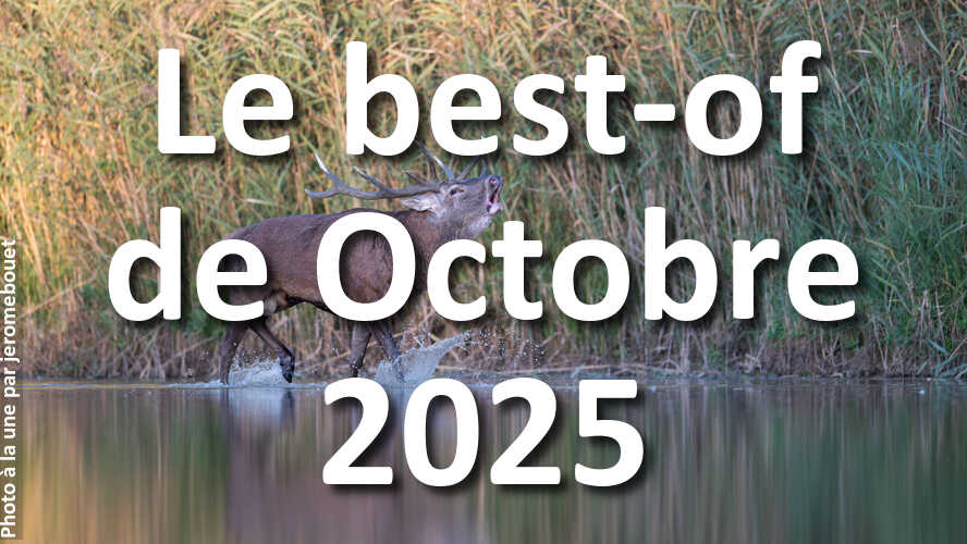 Les-10-photos-de-Octobre-2025-qui-vont-vous-faire-retrouver-linspiration