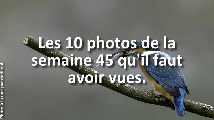 Les-10-photos-de-la-semaine-45-qui-vont-vous-faire-retrouver-linspiration