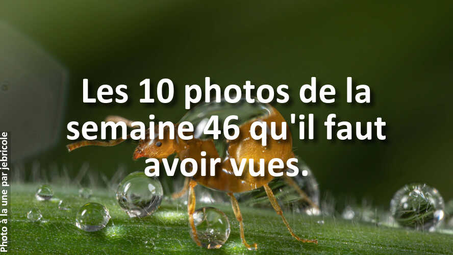 Avez-vous-rate-les-10-plus-belles-photos-de-la-semaine-46