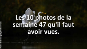 Les-10-plus-belles-photos-de-la-galerie-de-la-semaine-47