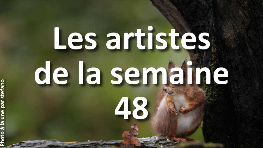 Avez-vous-rate-les-10-plus-belles-photos-de-la-semaine-48