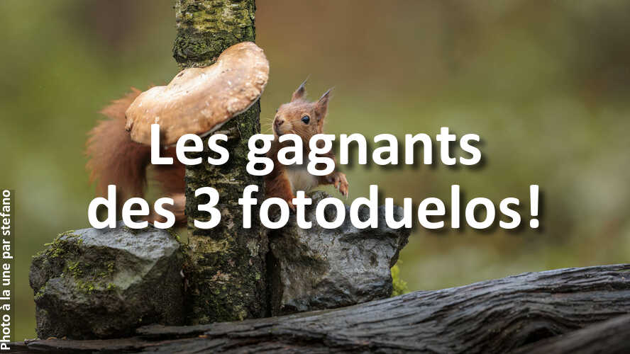 Mais-qui-sont-ces-gagnants-des-3-recents-fotoduelos