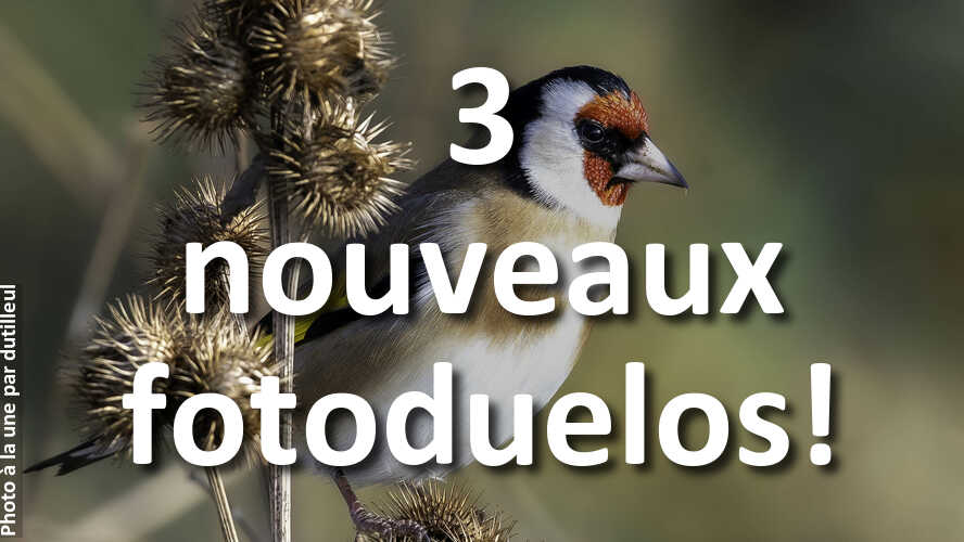 3-nouveaux-fotoduelos-ouverts