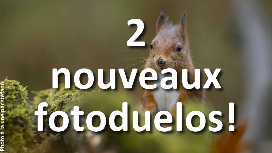 Laquelle-est-la-plus-belle-celle-de-droite-ou-de-gauche