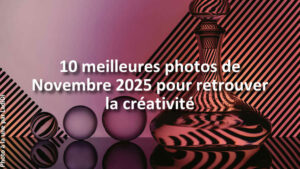 Trouvez-linspiration-dans-les-10-plus-belles-photos-de-la-galerie-du-mois-de-Novembre-2025