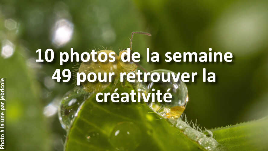 Trouvez-linspiration-dans-les-10-plus-belles-photos-de-la-galerie-de-la-semaine-49