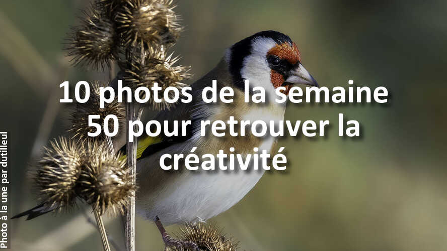 Les-10-plus-belles-photos-de-la-galerie-de-la-semaine-50