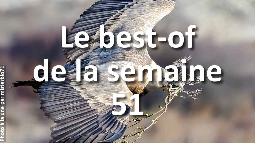 Les-10-plus-belles-photos-de-la-galerie-de-la-semaine-51