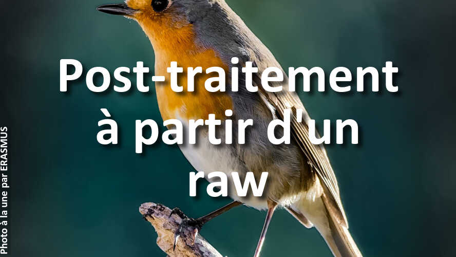 Decouvrez-les-gagnants-du-defi-photo-Post-traitement-a-partir-dun-raw-les-commentaires-du-Jury