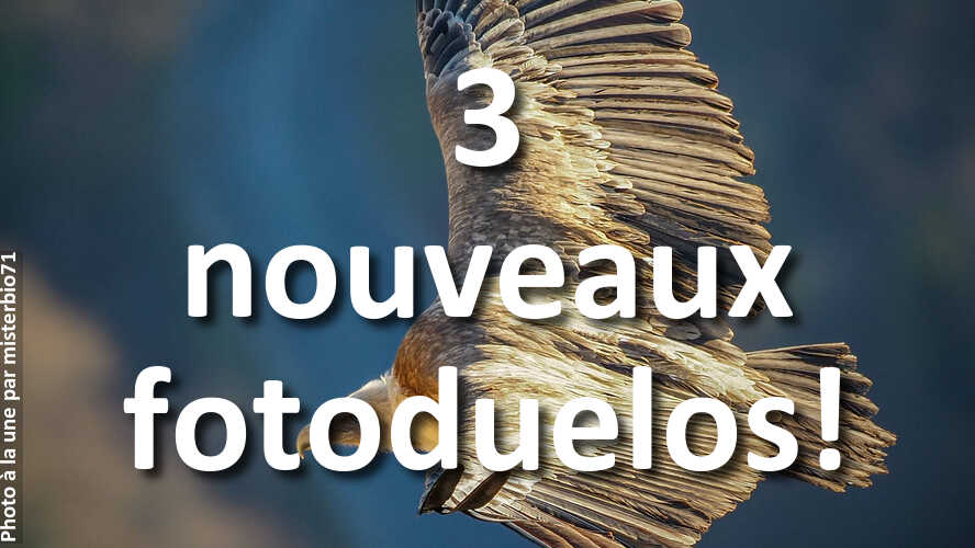 Laissez-vos-emotions-decider-des-plus-belles-photos-fotoduelo