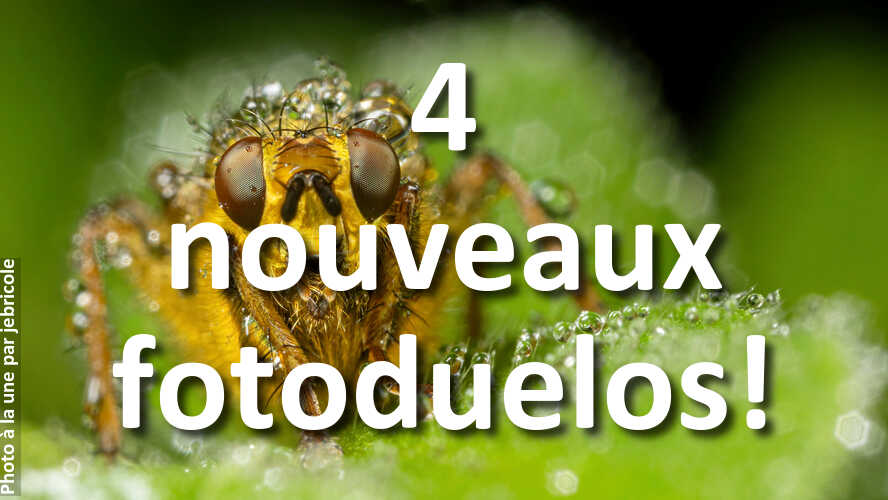 fotoduelo-a-besoin-de-votre-clic-pour-departager-les-plus-belles-photos