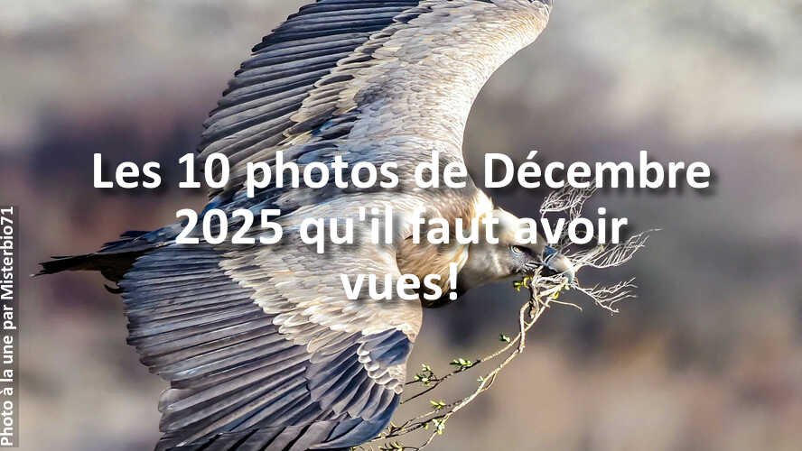 Les-10-plus-belles-photos-de-la-galerie-de-Decembre-2025