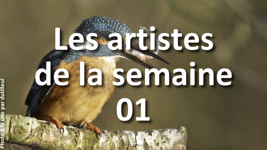 Avez-vous-rate-les-10-plus-belles-photos-de-la-semaine-01