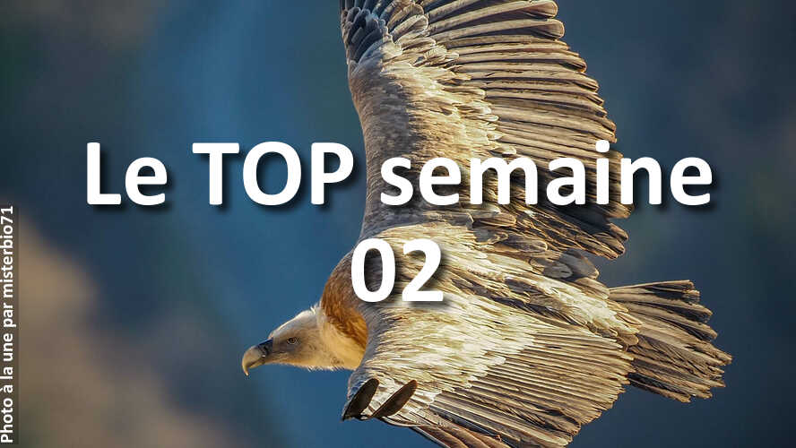 Les-10-photos-de-la-semaine-02-qui-vont-vous-faire-retrouver-linspiration