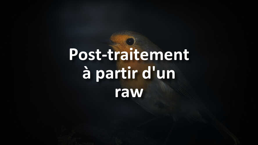 Saurez-vous-relever-le-defi-photo-Post-traitement-a-partir-dun-raw