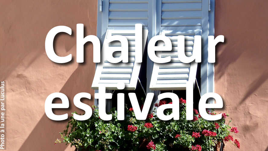 Chaleur-estivale-ces-nouvelles-photos-vont-vous-etonner