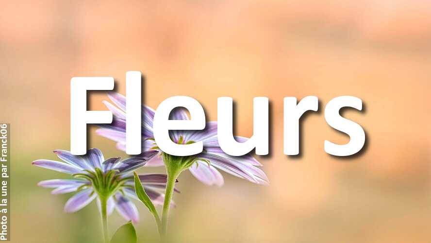 Franck06-remporte-la-plus-haute-marche-du-podium-au-defi-photo-Fleurs