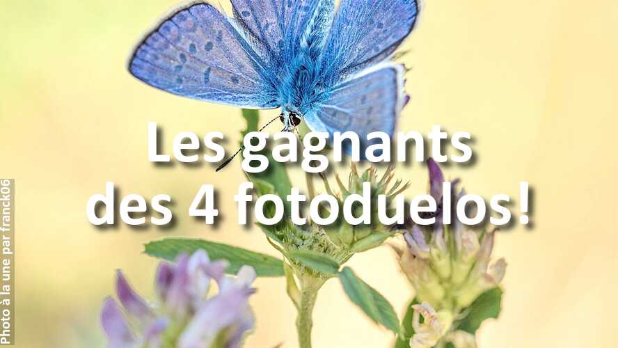 Les-gagnants-des-4-fotoduelos-cette-semaine