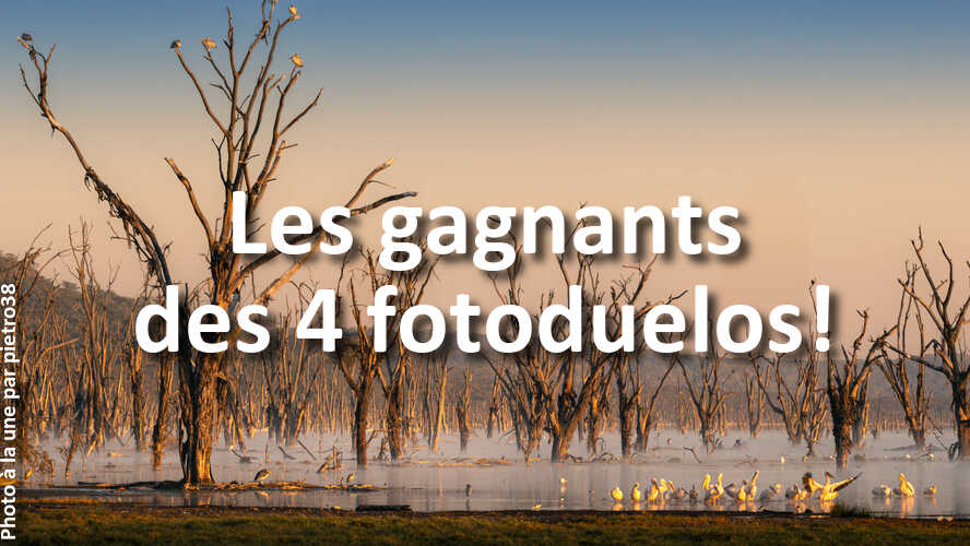 Que-pensez-vous-des-gagnants-des-4-derniers-fotoduelos