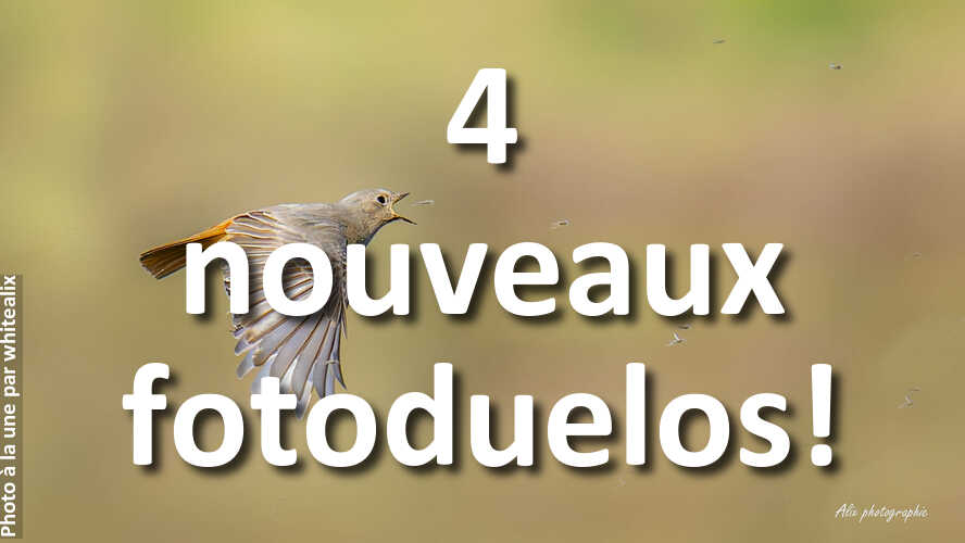 Un-coup-de-fatigue-Alors-venez-jouer-1-minute-a-fotoduelo