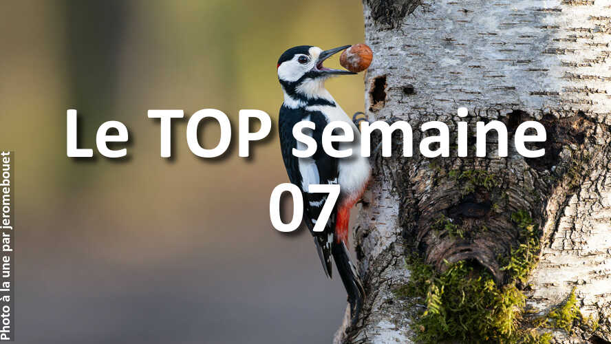 Les-10-photos-de-la-semaine-07-qui-vont-vous-faire-retrouver-linspiration