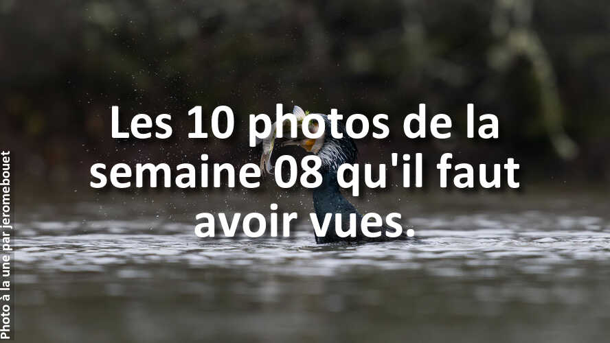 Trouvez-linspiration-dans-les-10-plus-belles-photos-de-la-galerie-de-la-semaine-08