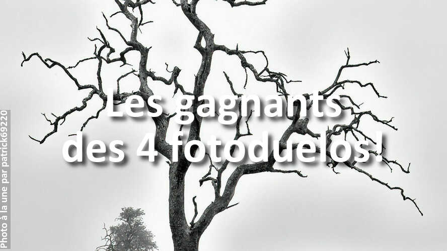 Si-vous-avez-participe-a-fotoduelo-ne-manquez-pas-ces-gagnants