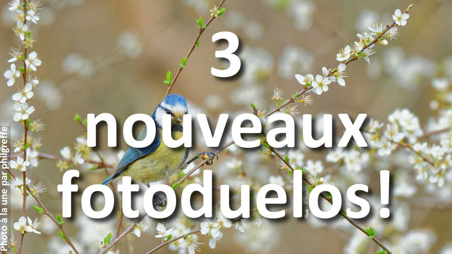 3-nouveaux-fotoduelos-ont-besoin-de-votre-avis