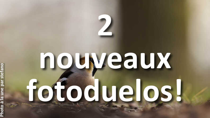 Un-coup-de-fatigue-Alors-venez-jouer-1-minute-a-fotoduelo