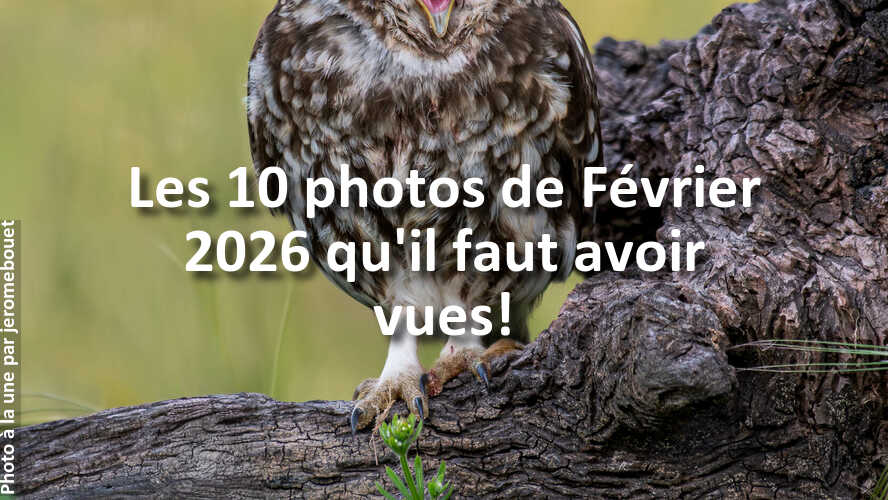 Avez-vous-rate-les-10-plus-belles-photos-du-mois-de-Fevrier-2026