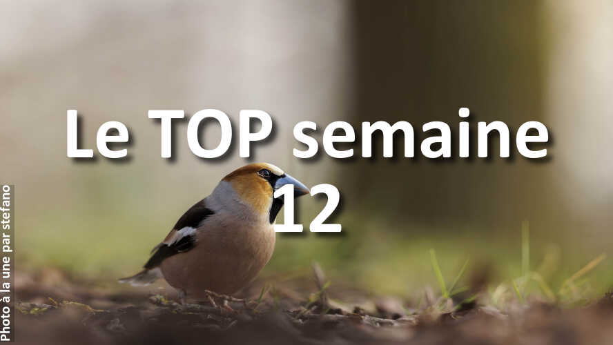 Les-10-plus-belles-photos-de-la-galerie-de-la-semaine-12