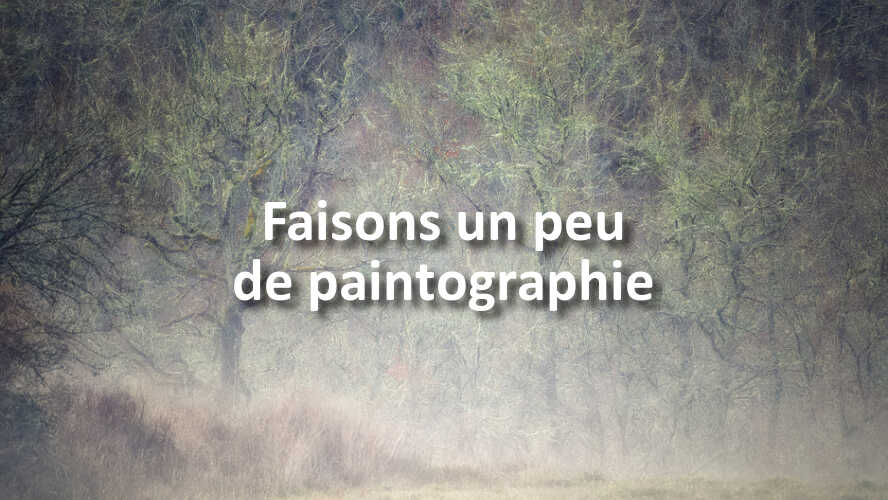 Comment-allez-vous-photographier-le-concours-Faisons-un-peu-de-paintographie
