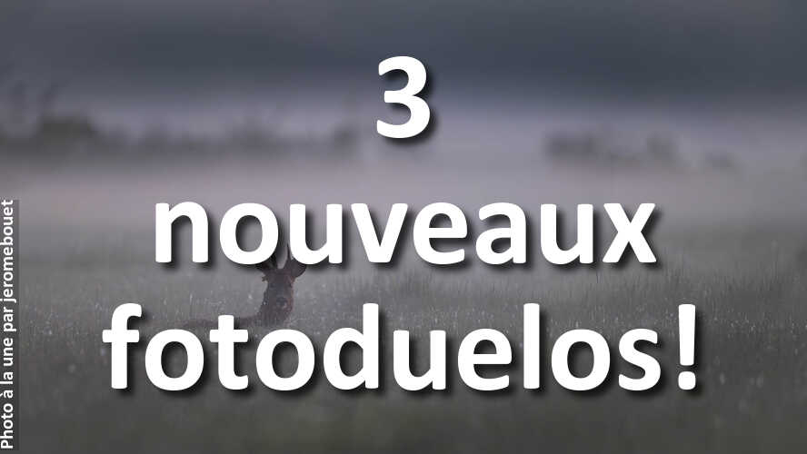 Laquelle-est-la-plus-belle-celle-de-droite-ou-de-gauche