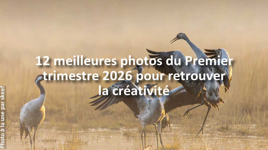 Les-12-photos-du-Premier-trimestre-2026-qui-vont-vous-faire-retrouver-linspiration