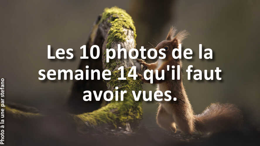 Les-10-plus-belles-photos-de-la-galerie-de-la-semaine-14