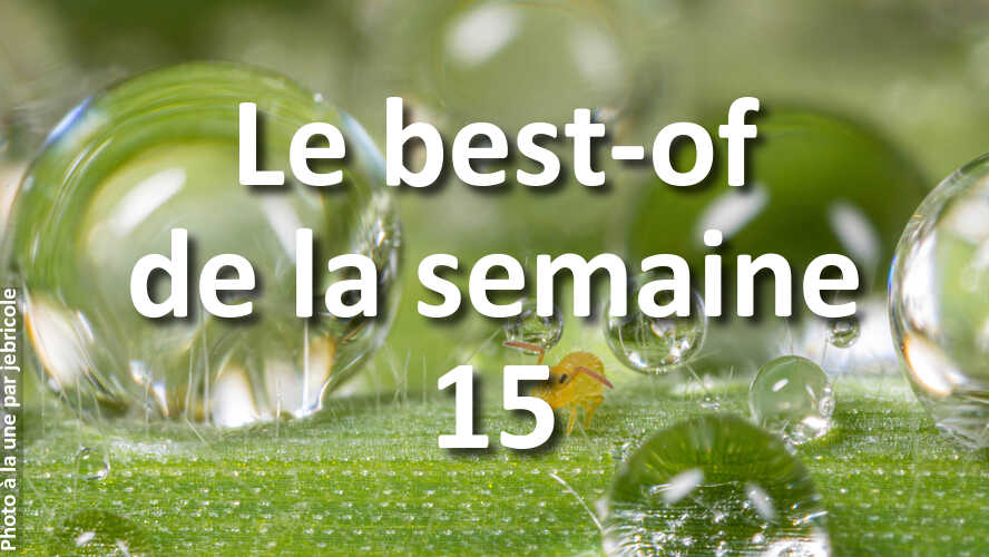 Les-10-photos-de-la-semaine-15-qui-vont-vous-faire-retrouver-linspiration