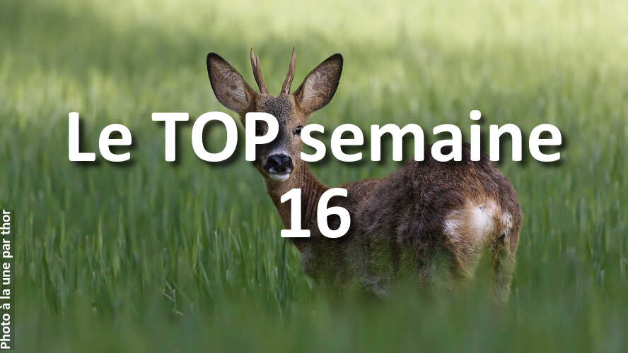 Les-10-photos-de-la-semaine-16-qui-vont-vous-faire-retrouver-linspiration