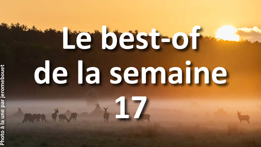 Les-10-plus-belles-photos-de-la-galerie-de-la-semaine-17