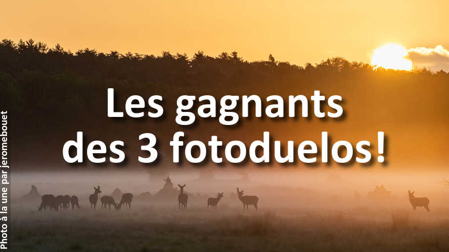 Si-vous-avez-participe-a-fotoduelo-ne-manquez-pas-ces-gagnants