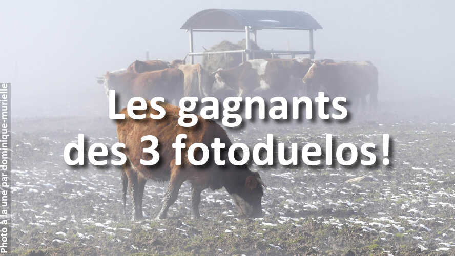 Que-pensez-vous-des-gagnants-des-3-derniers-fotoduelos
