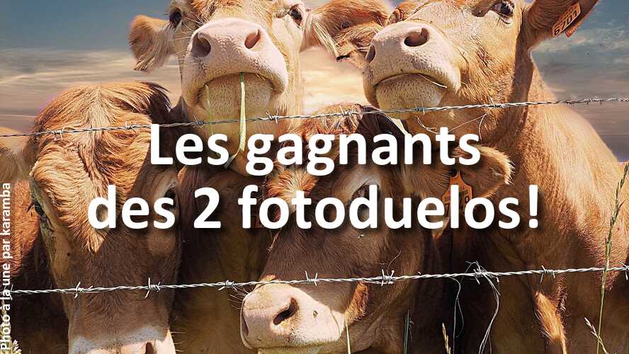 Que-pensez-vous-des-gagnants-des-2-derniers-fotoduelos