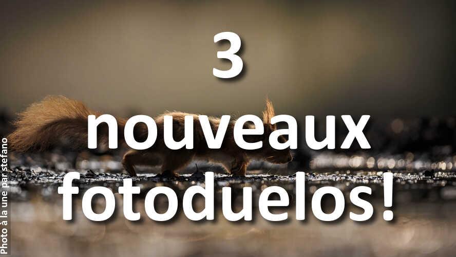 3-nouveaux-fotoduelos-ouverts