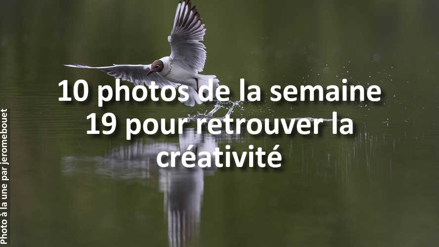 Les-10-plus-belles-photos-de-la-galerie-de-la-semaine-19