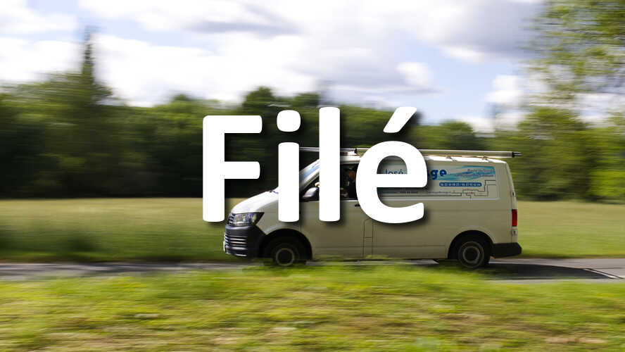 Il-est-temps-de-me-montrer-vos-photos-de-File